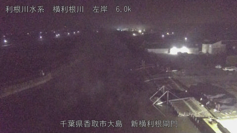 yoko2025112604_image