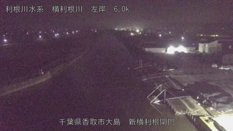 yoko2025112605_image