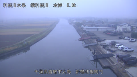 yoko2025112607_image