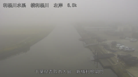 yoko2025112608_image