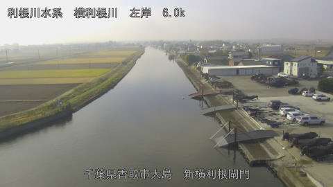 yoko2025112610_image