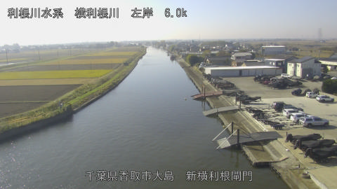 yoko2025112611_image