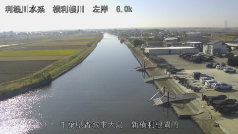 yoko2025112612_image