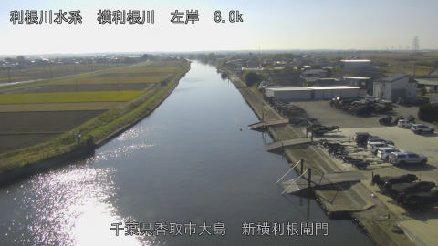 yoko2025112613_image