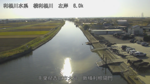 yoko2025112614_image