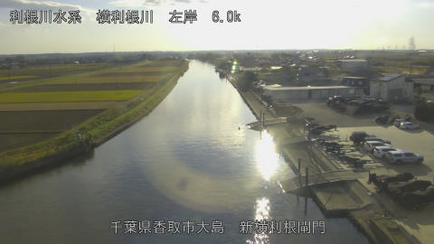 yoko2025112615_image