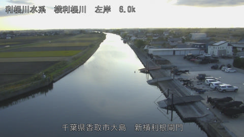 yoko2025112616_image