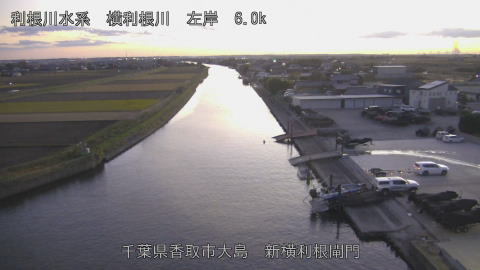 yoko2025112617_image