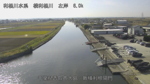 yoko2025112712_image