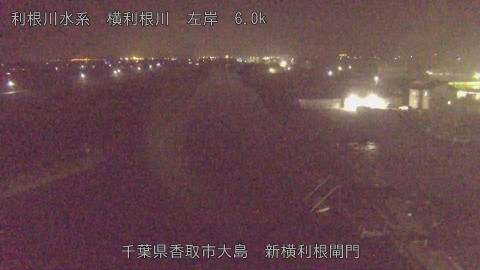 yoko2025112800_image