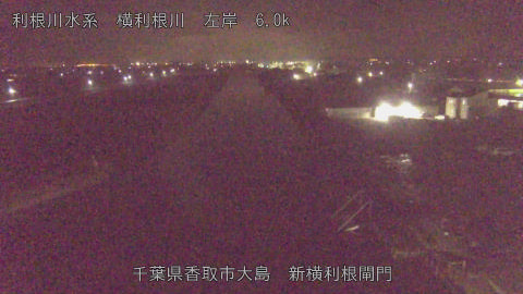 yoko2025112801_image