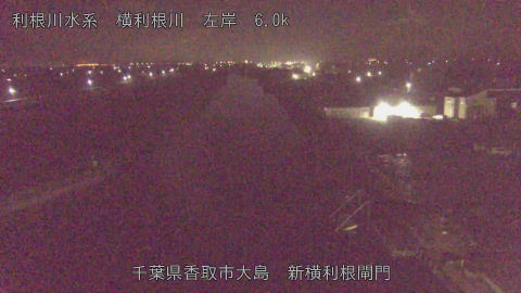 yoko2025112802_image