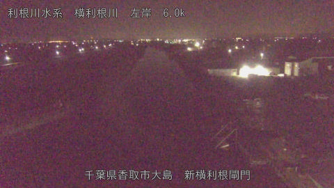 yoko2025112803_image