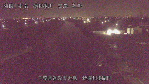 yoko2025112804_image