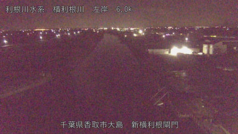 yoko2025112805_image