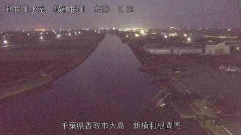 yoko2025112806_image