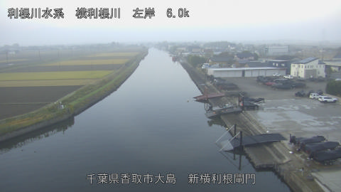 yoko2025112807_image