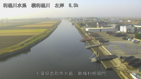 yoko2025112808_image