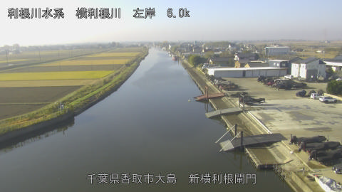 yoko2025112809_image