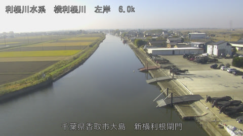 yoko2025112810_image