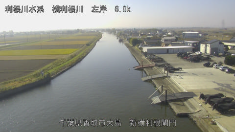 yoko2025112811_image