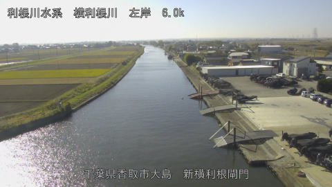 yoko2025112812_image