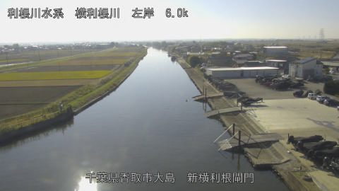 yoko2025112813_image