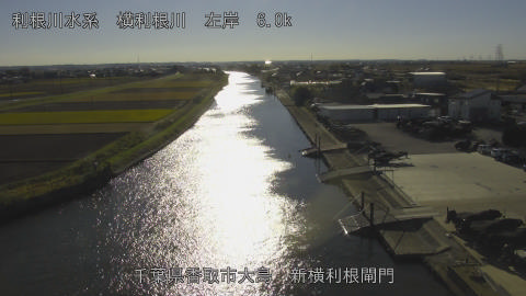 yoko2025112814_image