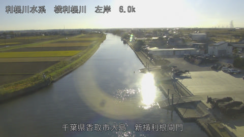 yoko2025112815_image