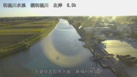 yoko2025112816_image