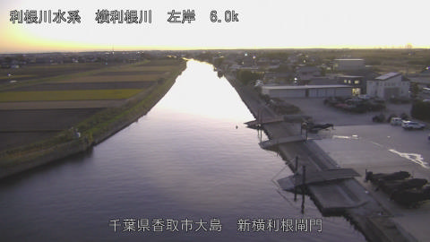 yoko2025112817_image