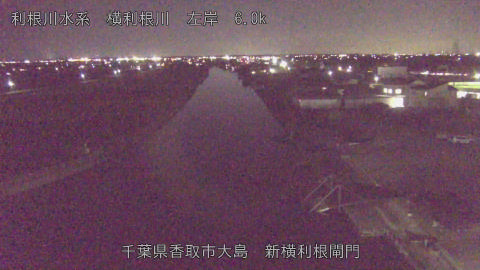 yoko2025112818_image