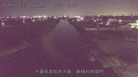 yoko2025112819_image