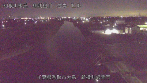 yoko2025112821_image