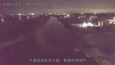 yoko2025112822_image