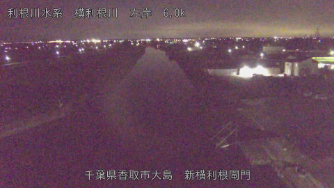 yoko2025112823_image