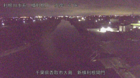 yoko2025112900_image