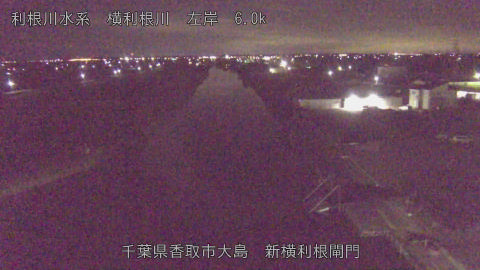 yoko2025112901_image