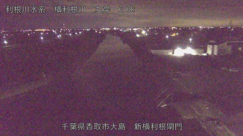 yoko2025112902_image