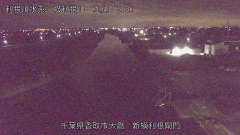 yoko2025112904_image