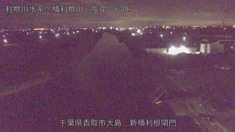 yoko2025112905_image