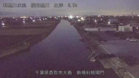 yoko2025112906_image