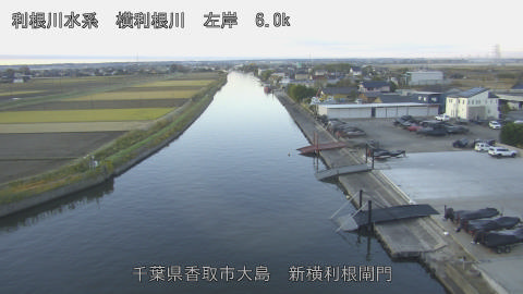 yoko2025112907_image