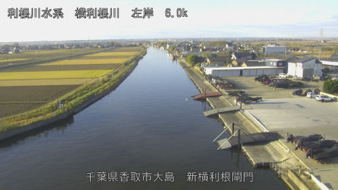 yoko2025112908_image