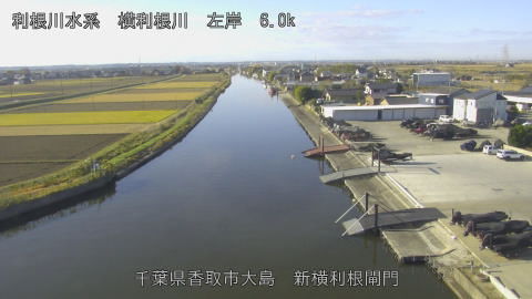 yoko2025112909_image