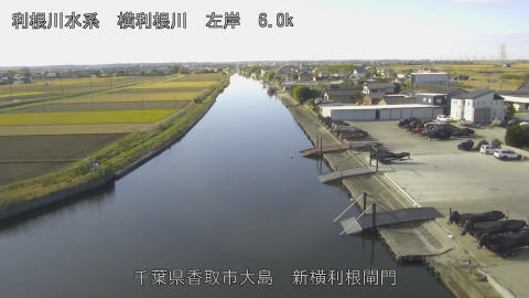 yoko2025112910_image