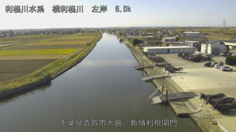 yoko2025112911_image