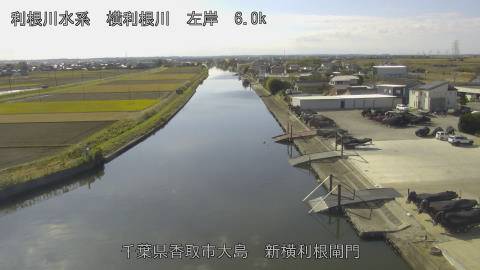 yoko2025112912_image