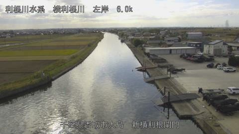 yoko2025112913_image