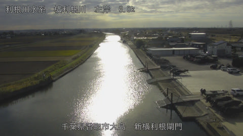 yoko2025112914_image